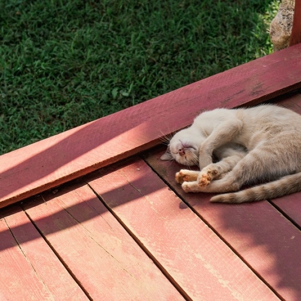 Do I Need to Stain my Decking Every Year?