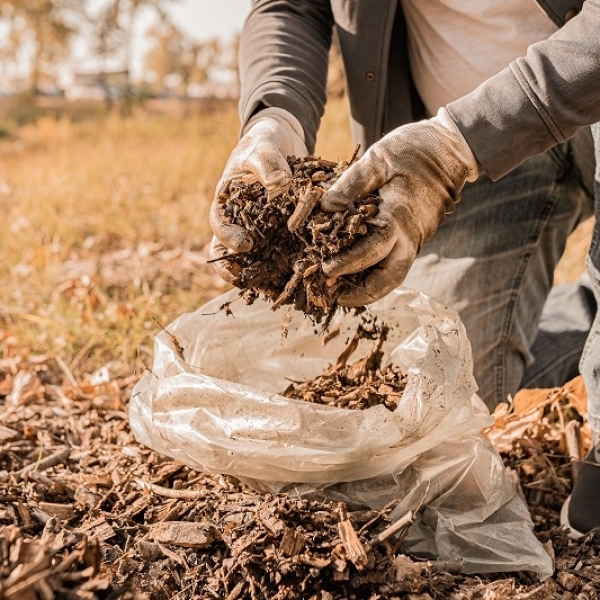 A Guide to Timber End of Life Reuse, Recycling and Disposal