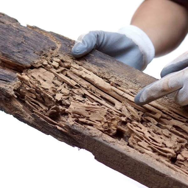 4 signs that say it’s time for timber cladding replacement