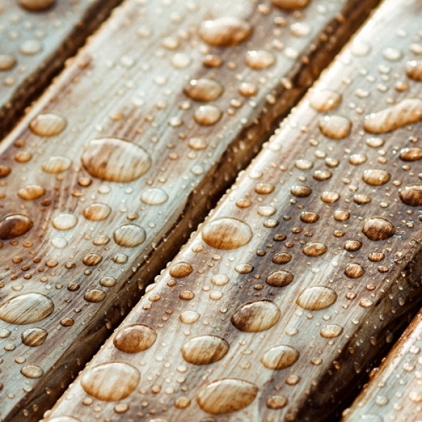 Moisture Content of Wood