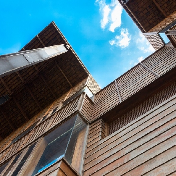 Is tannin staining normal on timber cladding?