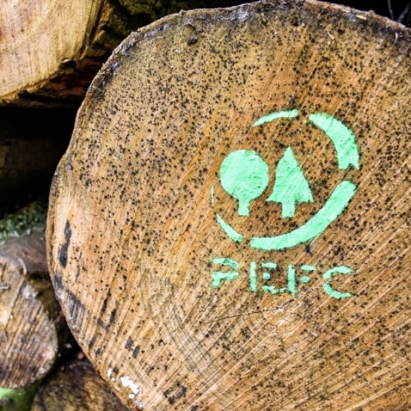 How to choose your timber to support sustainability