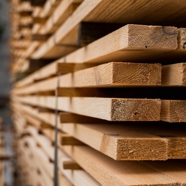 Introduction to Timber
