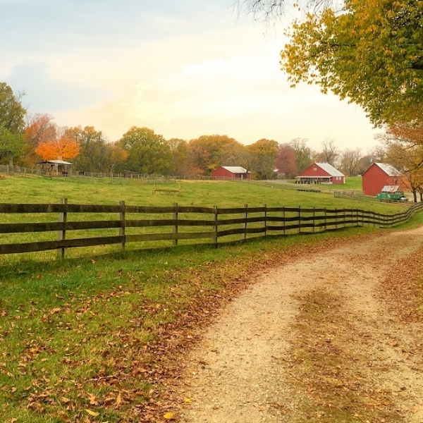 Sourcing the right timber for your agricultural build