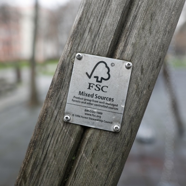 FSC Standards - What Makes a Responsible Forest?