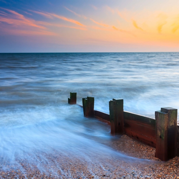 Using Wood for Sea Defence