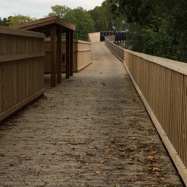 River Clyst Boardwalk