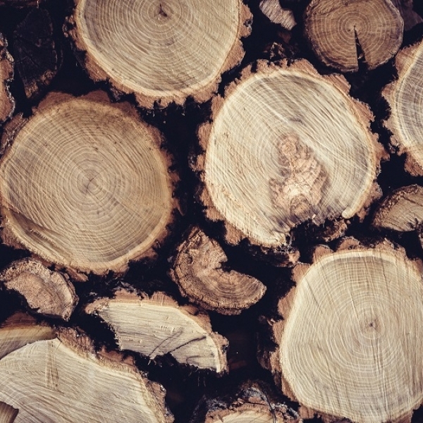  Top Ten reasons why you should choose wood