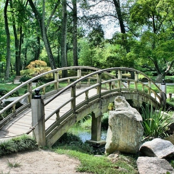 Beautiful timber walkways