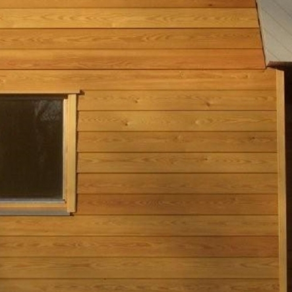 Siberian Larch: Unsorted vs Saw falling grades