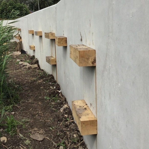 ASEA Ecology Mitigation and Flood Defence Scheme