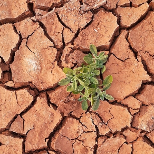 The world is warming up – why 1.5°C matters